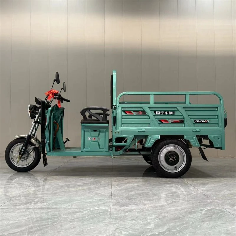 1.3-meter Electric Vehicles