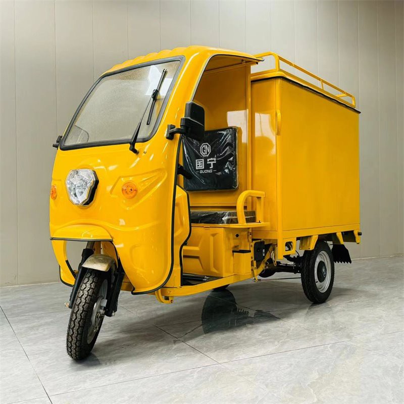 Electric Cargo Tricycle